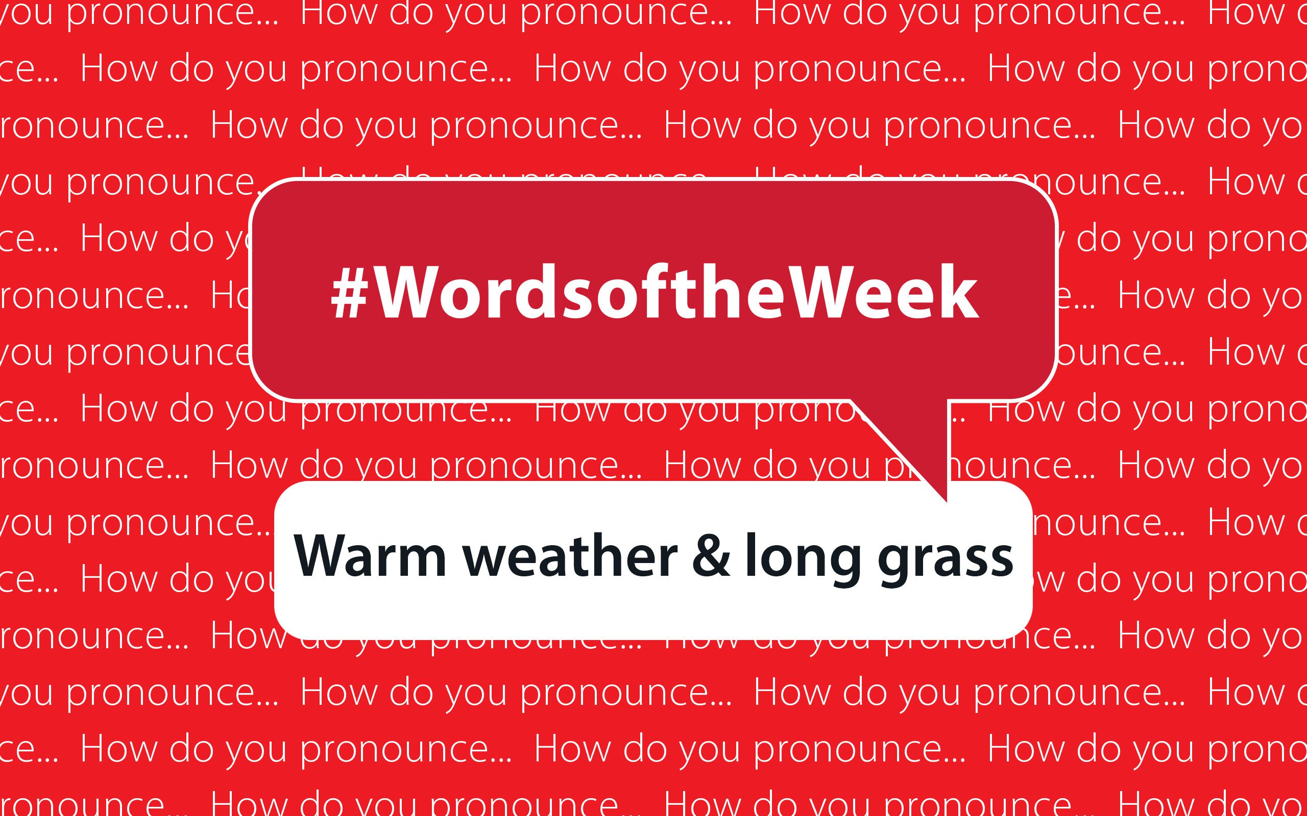 Words Of the week - Warm weather & long grass