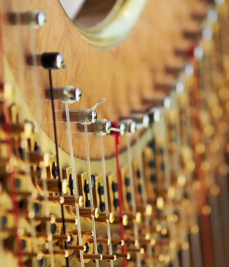 A close up of harp strings.