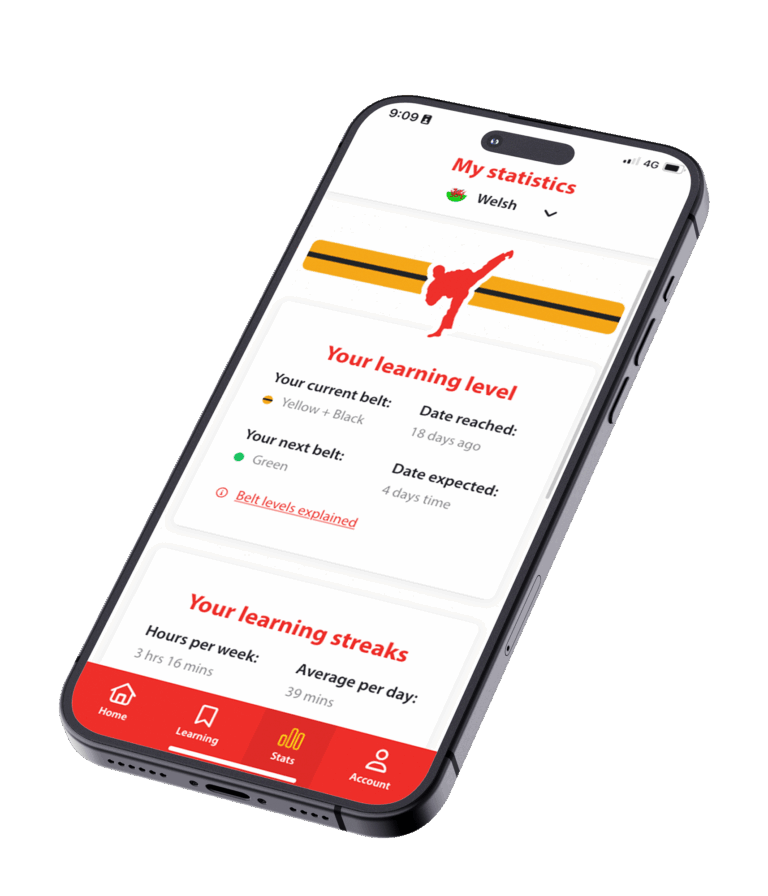 A mobile screen showing the SaySomethingin language learning app.