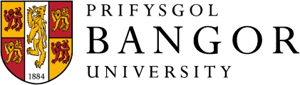 Bagnor University Logo