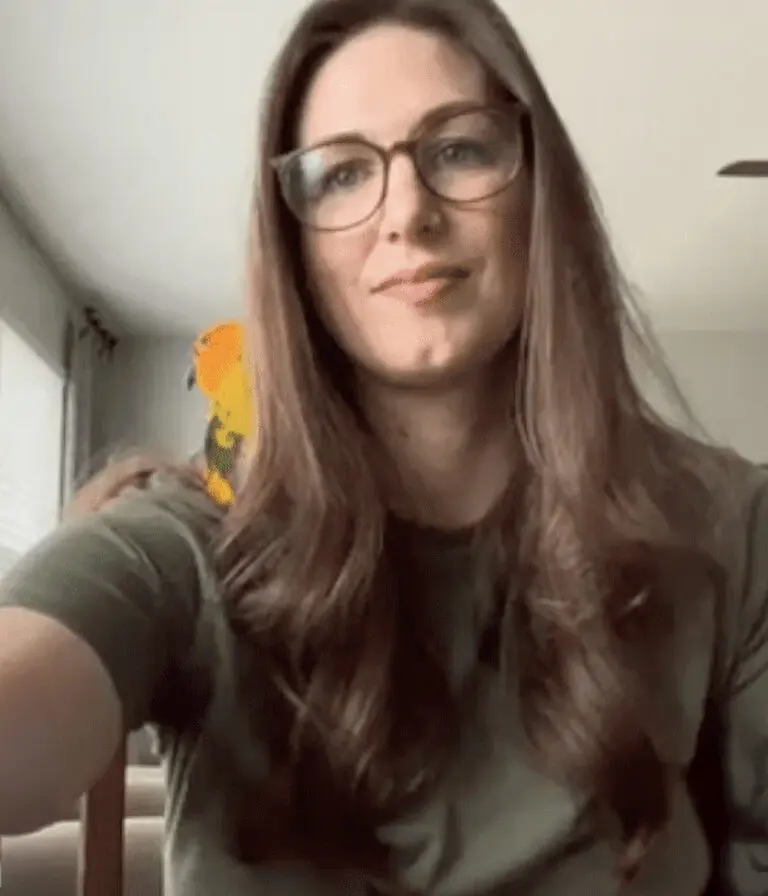 Erica, a learner at SaySomethingin, provided a testimony to talk about her experience learning Welsh with the SSi method.