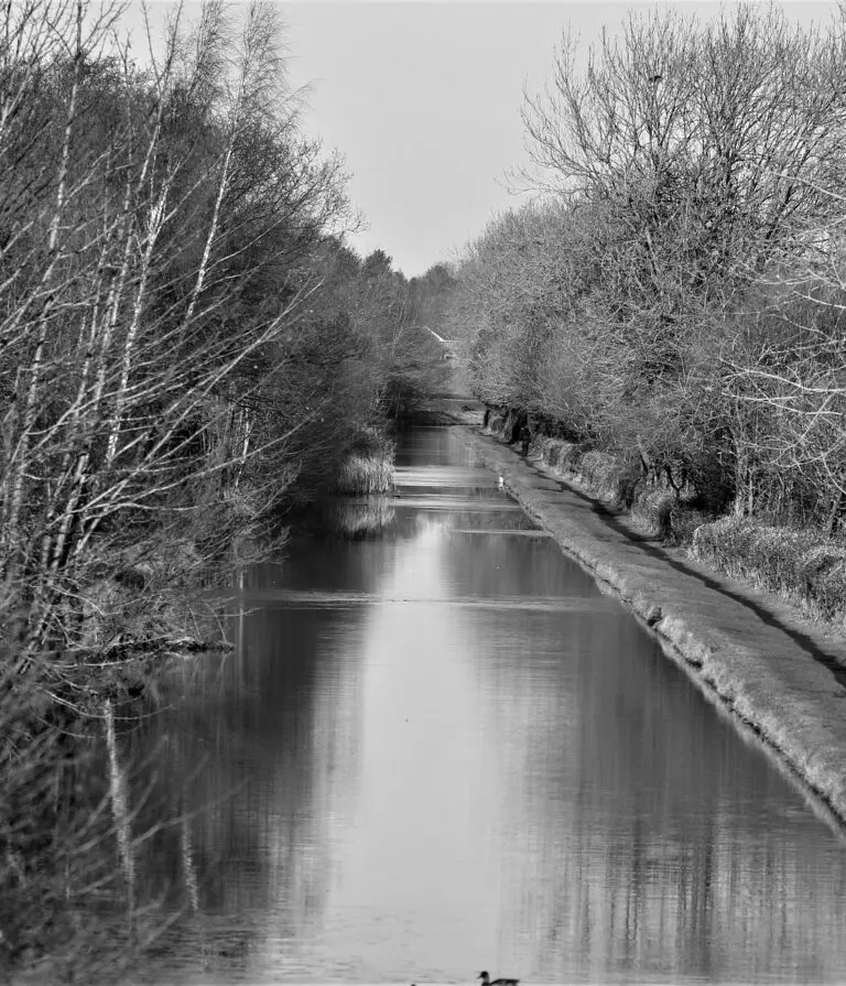 A black and white image of a canal or river with trees on both sides but a bank along the right-hand-side. At the end is a small bridge.
