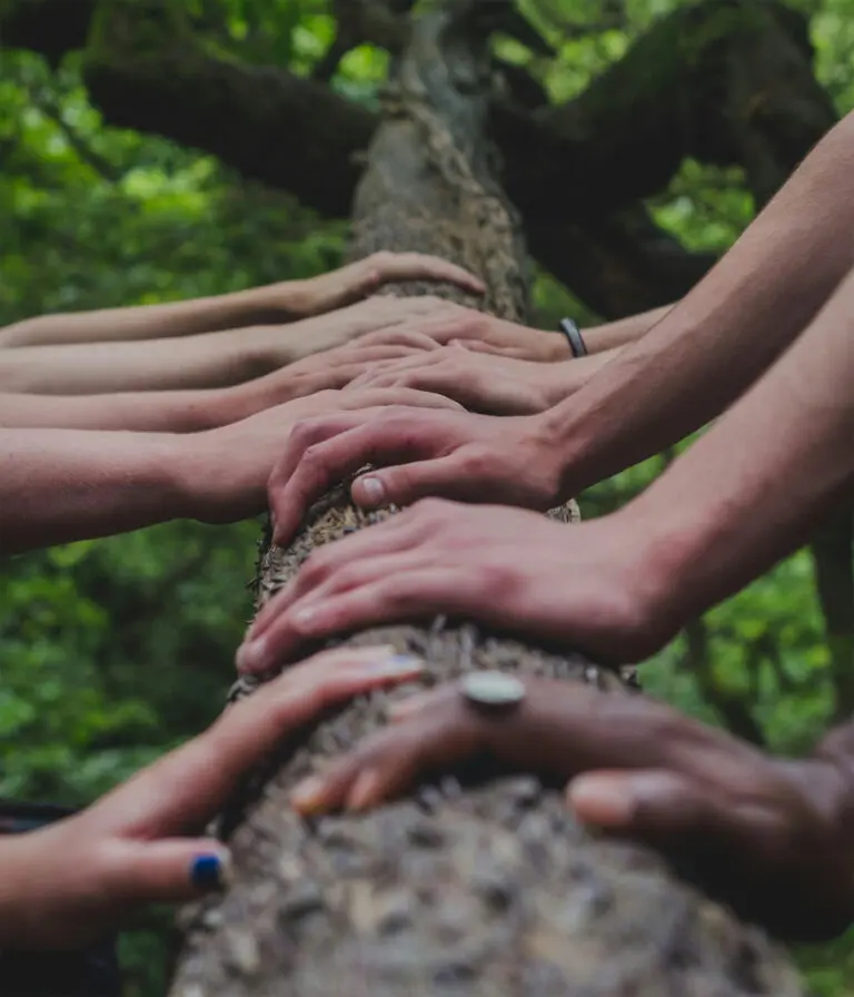 A close up of people putting their hands on the trunk of a tree.